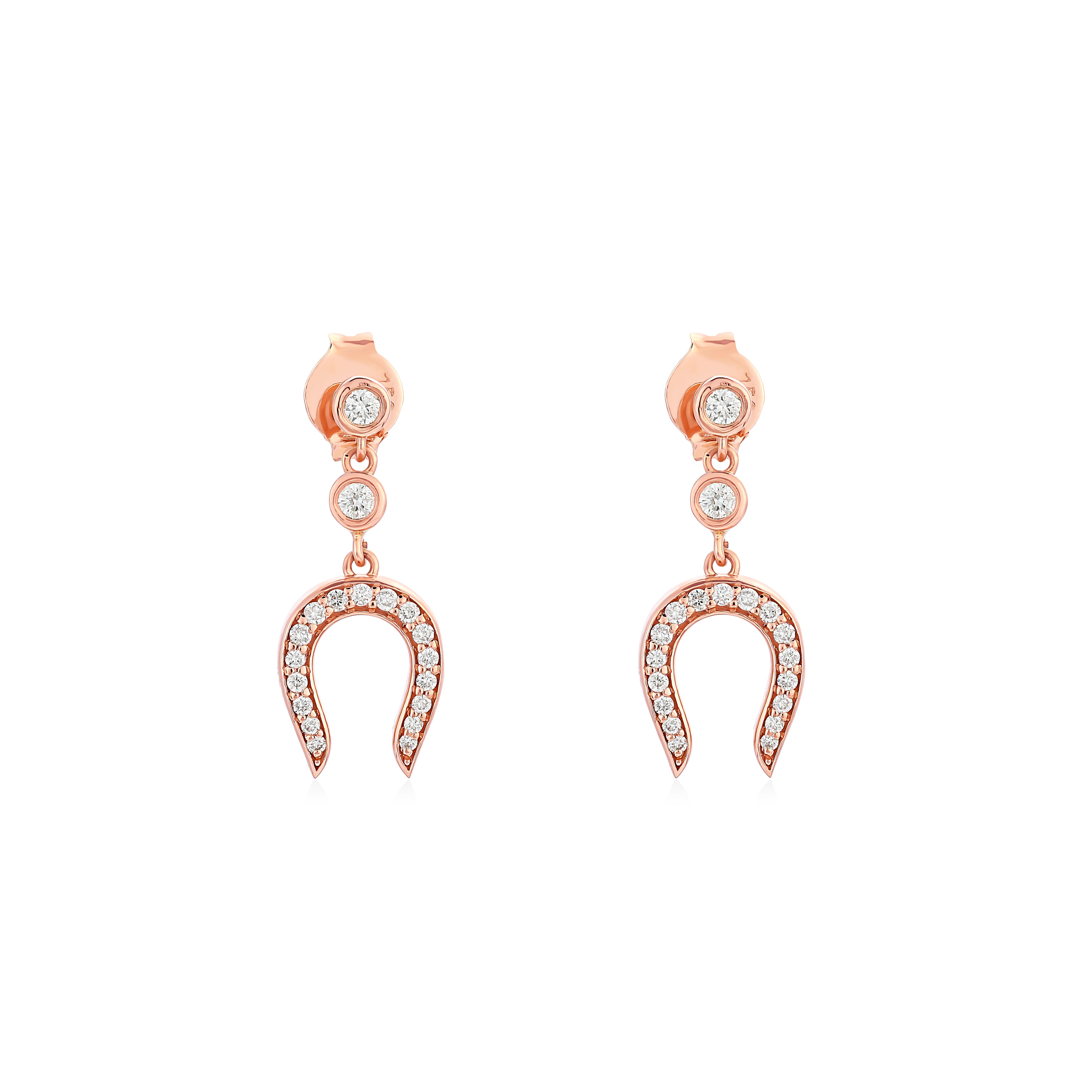 Horse Shoe Earring